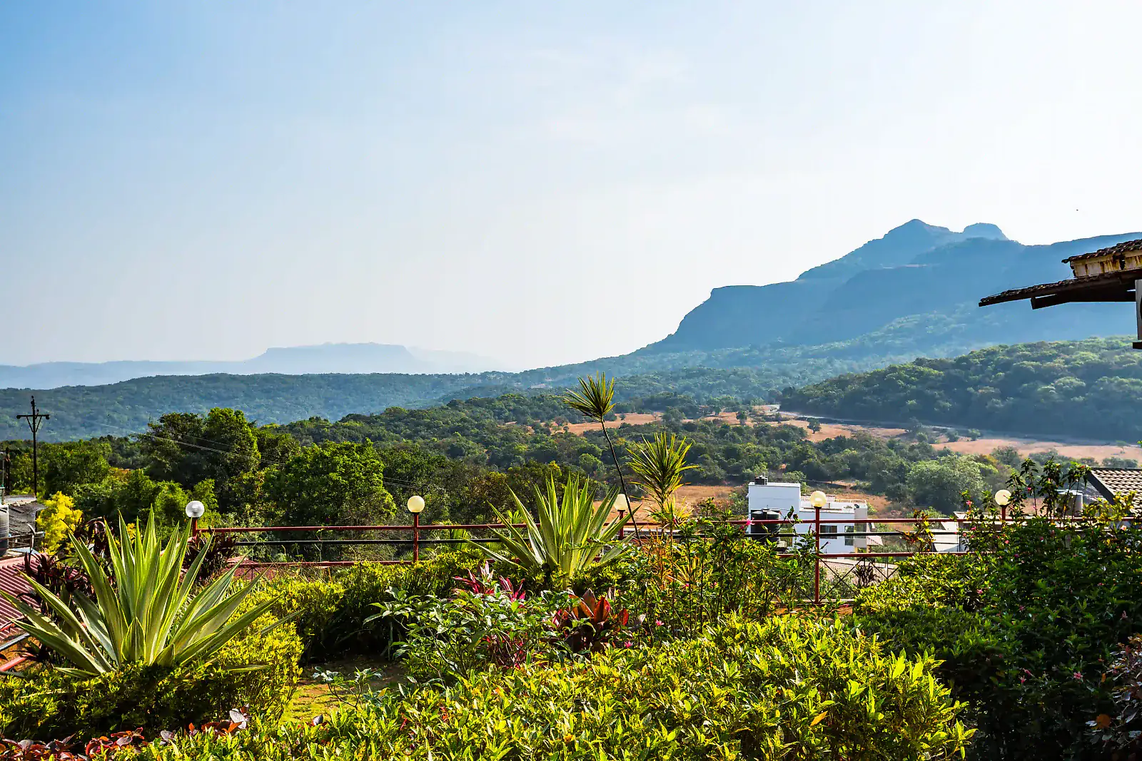 Green hills and forest seen from the Hill Top cottages